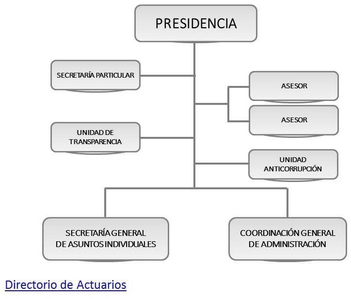 Organigrama Principal